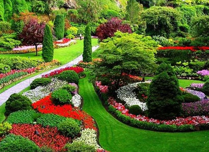 Jardineria en General